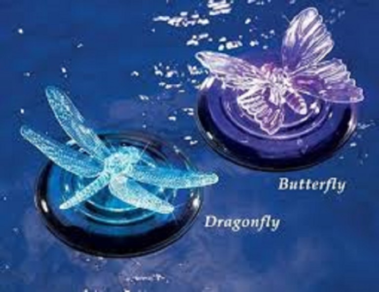 butterflies and dragonflies3